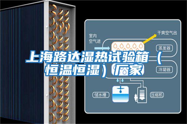 上海路達(dá)濕熱試驗箱(恒溫恒濕)廠家