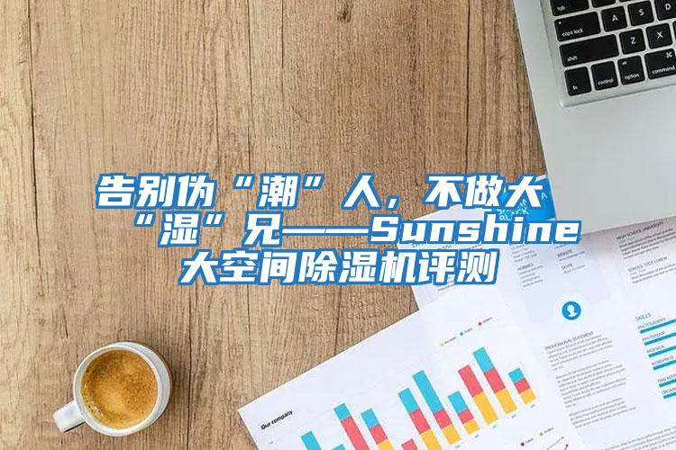 告別偽“潮”人，不做大“濕”兄——Sunshine大空間除濕機評測