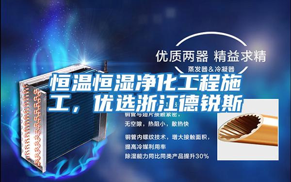 恒溫恒濕凈化工程施工，優選浙江德銳斯