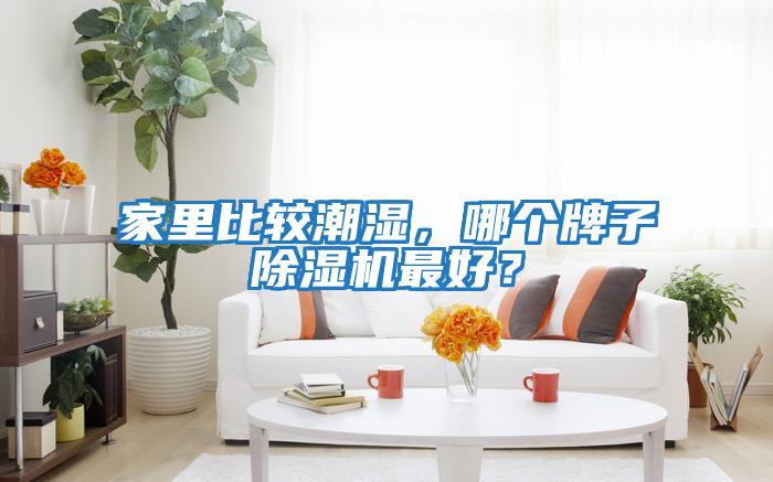 家里比較潮濕,哪個牌子除濕機最好?