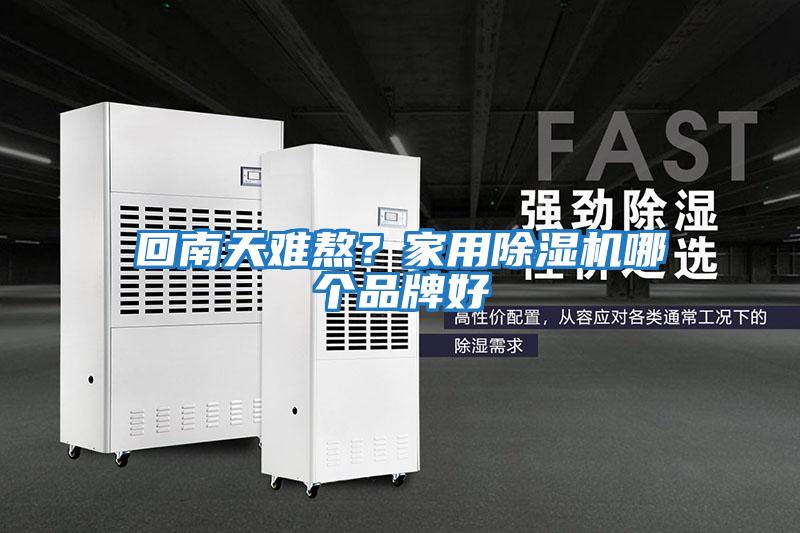 回南天難熬？家用除濕機哪個品牌好