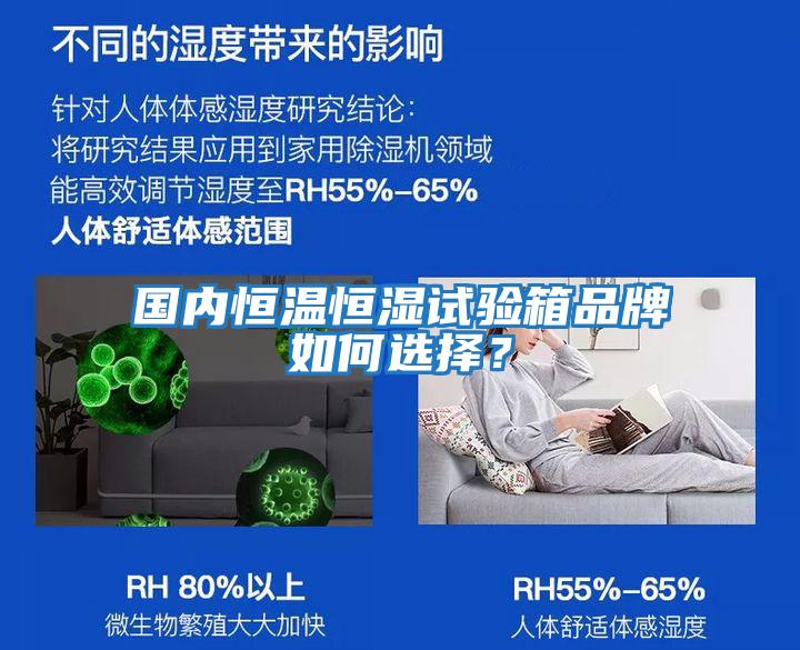 國(guó)內(nèi)恒溫恒濕試驗(yàn)箱品牌如何選擇?