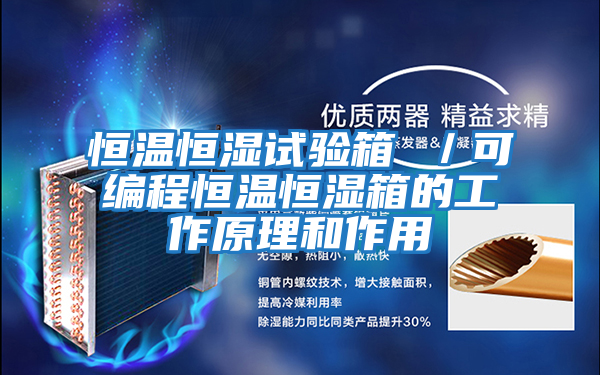 恒溫恒濕試驗(yàn)箱 /可編程恒溫恒濕箱的工作原理和作用
