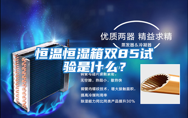 恒溫恒濕箱雙85試驗是什么？
