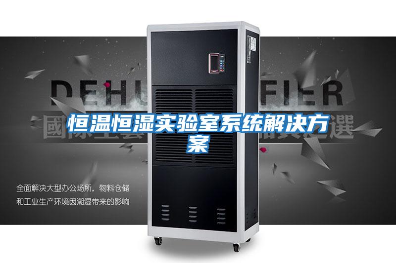 恒溫恒濕實驗室系統解決方案