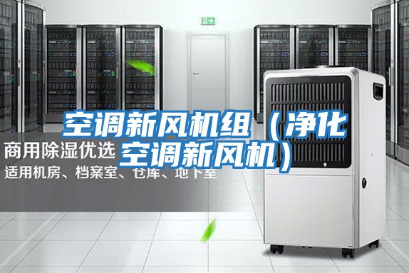 空調(diào)新風(fēng)機組（凈化空調(diào)新風(fēng)機）