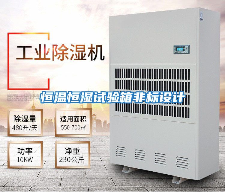 恒溫恒濕試驗箱非標設(shè)計