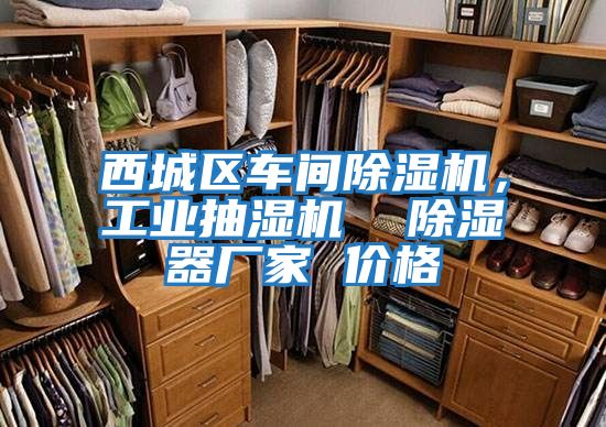 西城區車間除濕機，工業抽濕機  除濕器廠家 價格