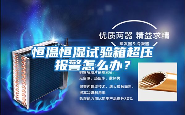 恒溫恒濕試驗(yàn)箱超壓報(bào)警怎么辦?