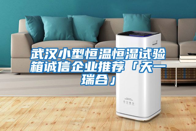 武漢小型恒溫恒濕試驗箱誠信企業(yè)推薦「天一瑞合」