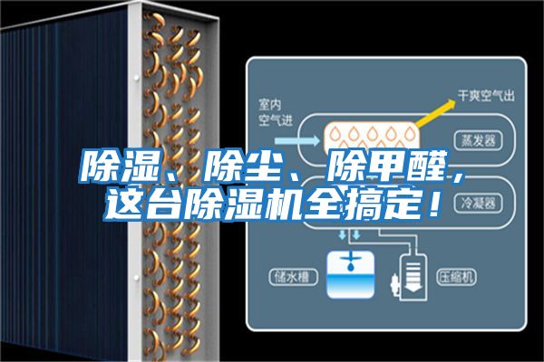 除濕、除塵、除甲醛，這臺除濕機全搞定！