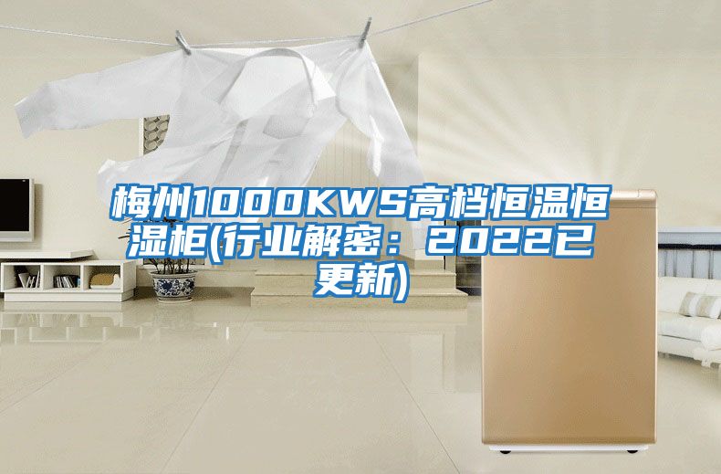 梅州1000KWS高檔恒溫恒濕柜(行業(yè)解密:2022已更新)