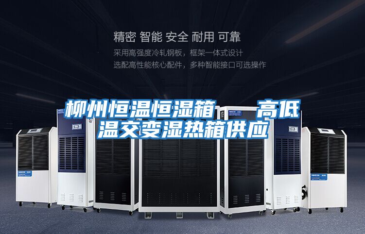 柳州恒溫恒濕箱 高低溫交變濕熱箱供應(yīng)