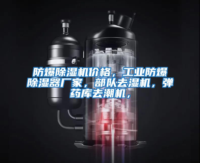 防爆除濕機(jī)價(jià)格，工業(yè)防爆除濕器廠家，部隊(duì)去濕機(jī)，彈藥庫(kù)去潮機(jī)，