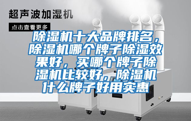 除濕機(jī)十大品牌排名，除濕機(jī)哪個(gè)牌子除濕效果好，買哪個(gè)牌子除濕機(jī)比較好，除濕機(jī)什么牌子好用實(shí)惠