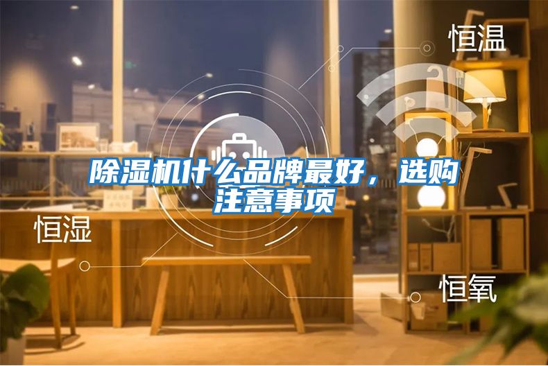 除濕機(jī)什么品牌最好，選購(gòu)注意事項(xiàng)