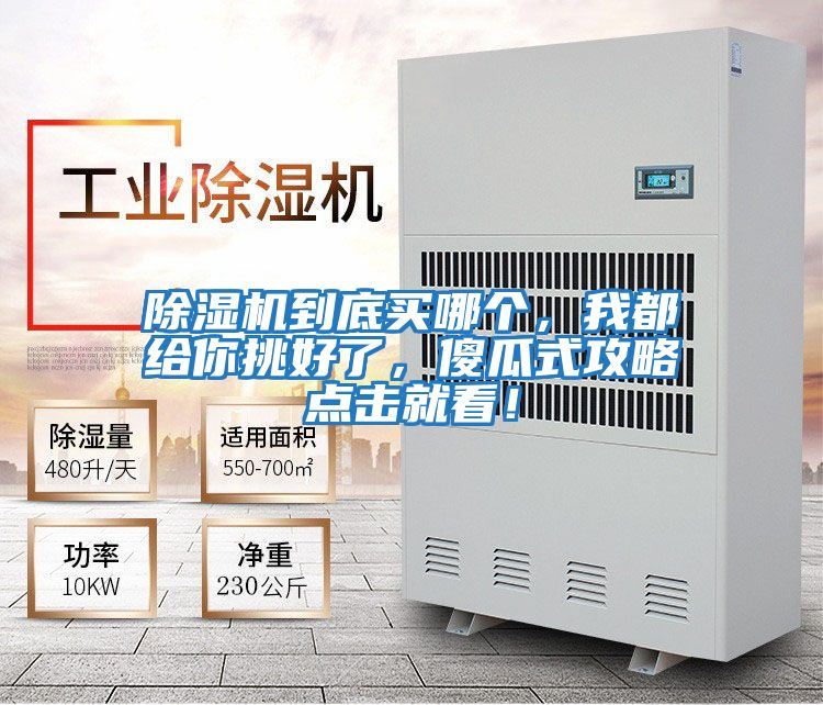 除濕機到底買哪個，我都給你挑好了，傻瓜式攻略點擊就看！