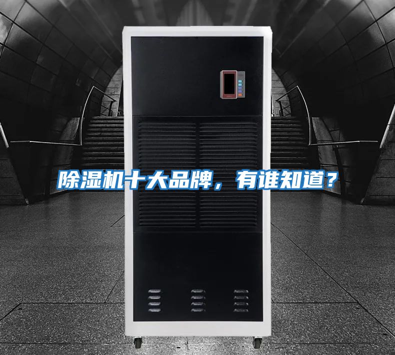 除濕機(jī)十大品牌，有誰知道？