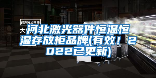 河北激光器件恒溫恒濕存放柜品牌(有效！2022已更新)