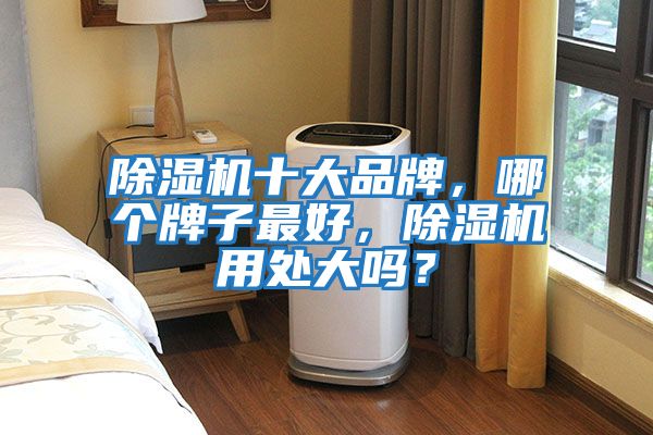 除濕機(jī)十大品牌，哪個(gè)牌子最好，除濕機(jī)用處大嗎？