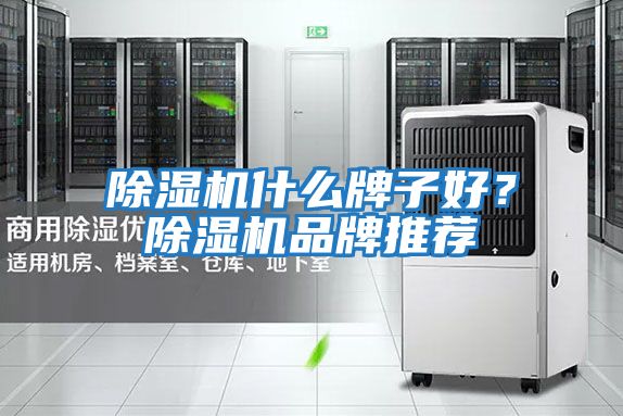 除濕機什么牌子好？除濕機品牌推薦