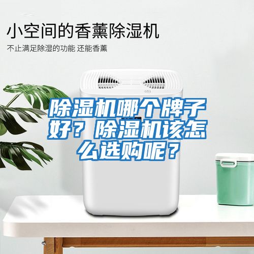 除濕機哪個牌子好？除濕機該怎么選購呢？