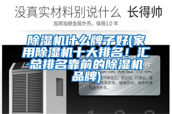 除濕機(jī)什么牌子好(家用除濕機(jī)十大排名！匯總排名靠前的除濕機(jī)品牌)