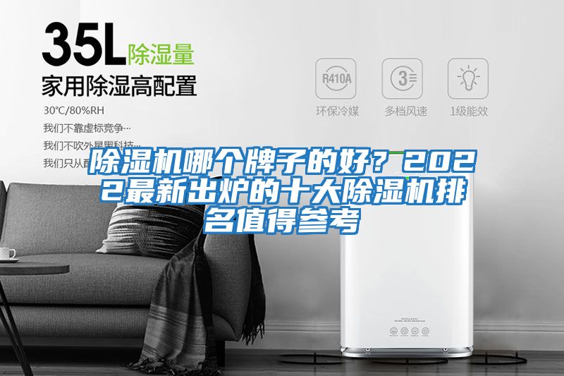 除濕機哪個牌子的好？2022最新出爐的十大除濕機排名值得參考