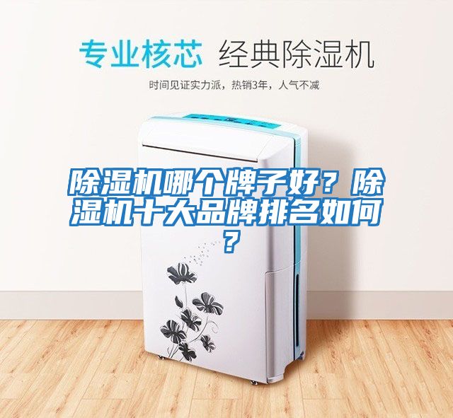 除濕機哪個牌子好？除濕機十大品牌排名如何？
