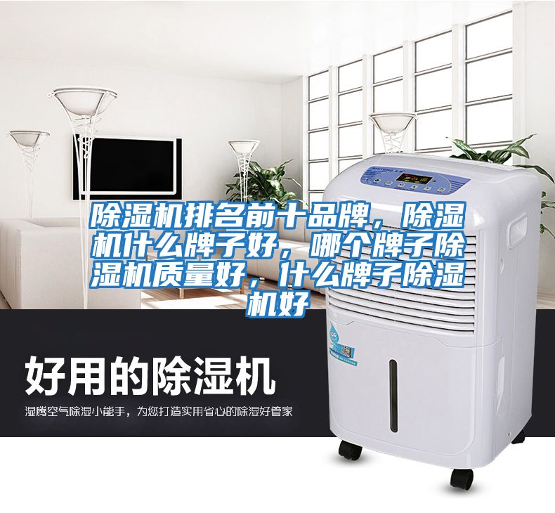 除濕機排名前十品牌，除濕機什么牌子好，哪個牌子除濕機質(zhì)量好，什么牌子除濕機好