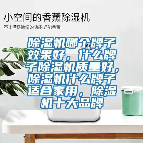 除濕機哪個牌子效果好，什么牌子除濕機質量好，除濕機什么牌子適合家用，除濕機十大品牌