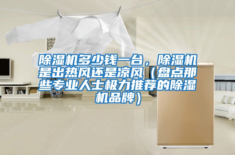 除濕機(jī)多少錢一臺，除濕機(jī)是出熱風(fēng)還是涼風(fēng)（盤點那些專業(yè)人士極力推薦的除濕機(jī)品牌）