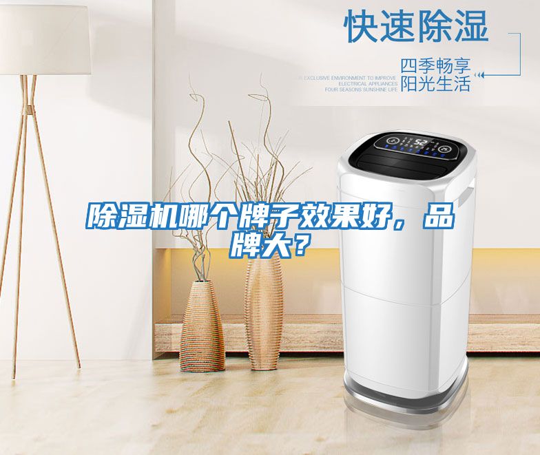 除濕機哪個牌子效果好，品牌大？