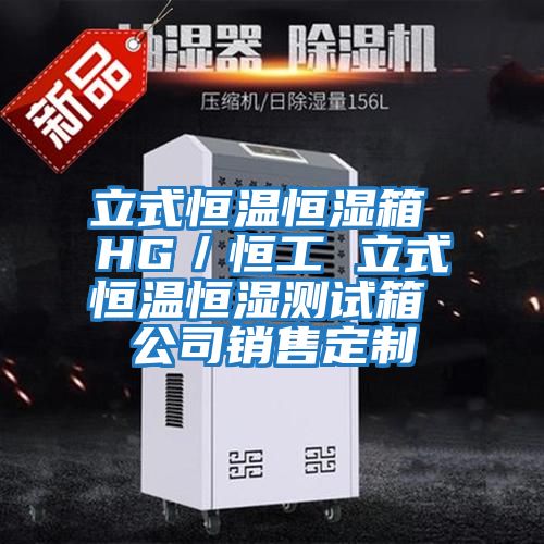 立式恒溫恒濕箱 HG／恒工 立式恒溫恒濕測(cè)試箱 公司銷(xiāo)售定制
