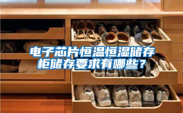 電子芯片恒溫恒濕儲(chǔ)存柜儲(chǔ)存要求有哪些？