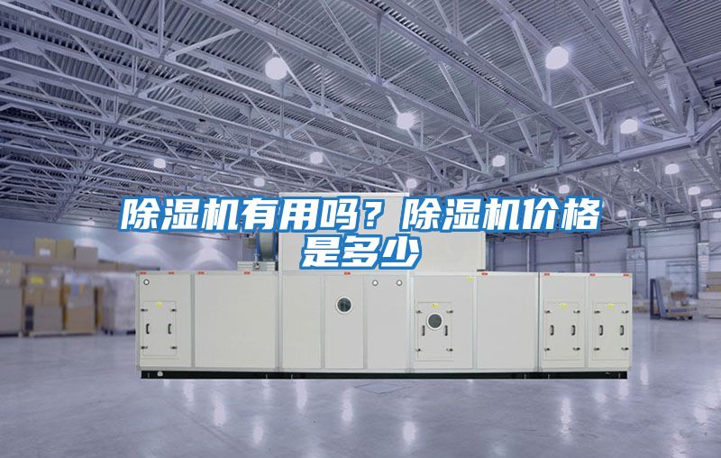 除濕機有用嗎？除濕機價格是多少