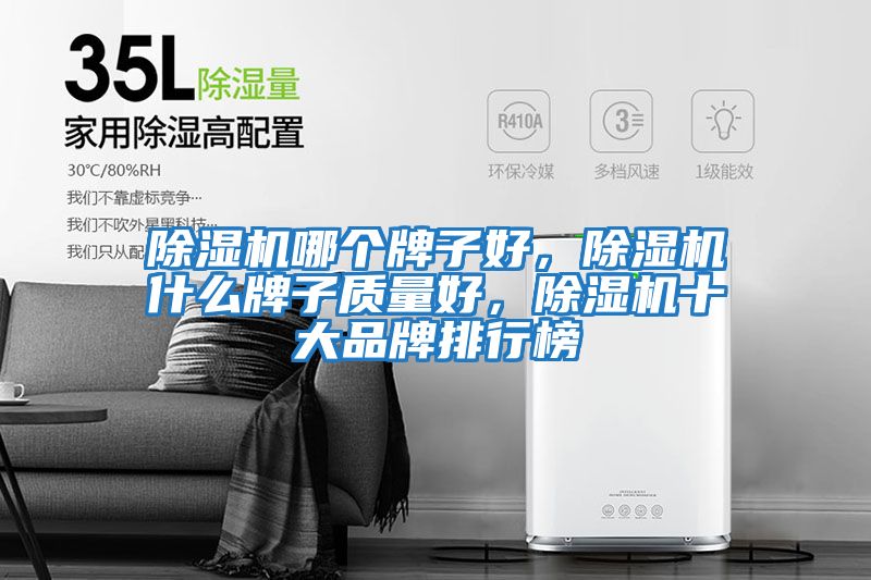 除濕機哪個牌子好，除濕機什么牌子質量好，除濕機十大品牌排行榜