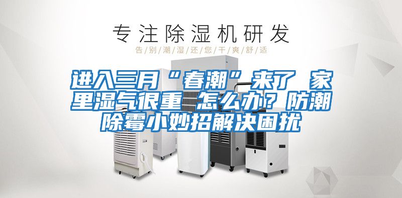 進(jìn)入三月“春潮”來了 家里濕氣很重 怎么辦?防潮除霉小妙招解決困擾