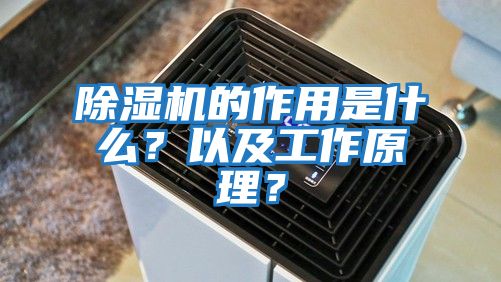 除濕機的作用是什么？以及工作原理？
