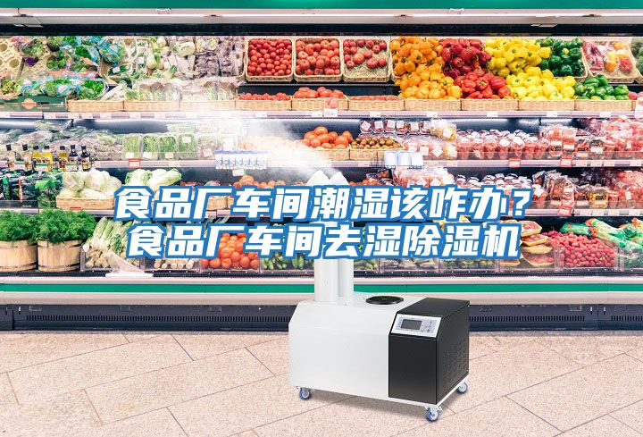 食品廠車間潮濕該咋辦？食品廠車間去濕除濕機(jī)