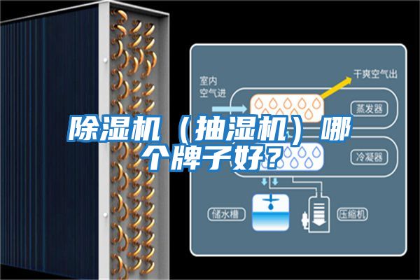 除濕機（抽濕機）哪個牌子好？