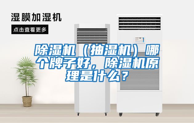 除濕機（抽濕機）哪個牌子好，除濕機原理是什么？