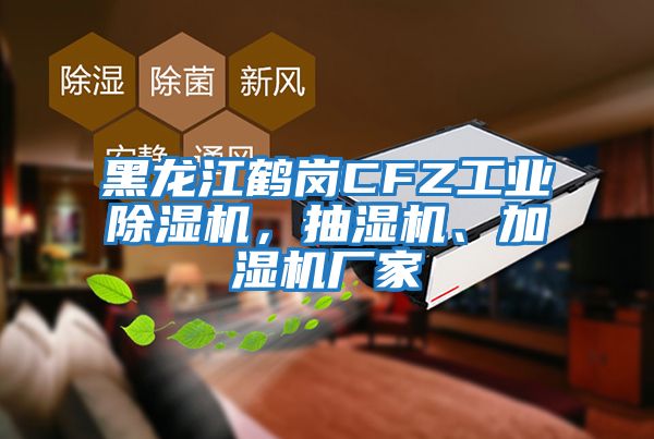 黑龍江鶴崗CFZ工業(yè)除濕機，抽濕機、加濕機廠家