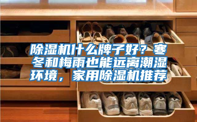 除濕機什么牌子好？寒冬和梅雨也能遠離潮濕環境，家用除濕機推薦