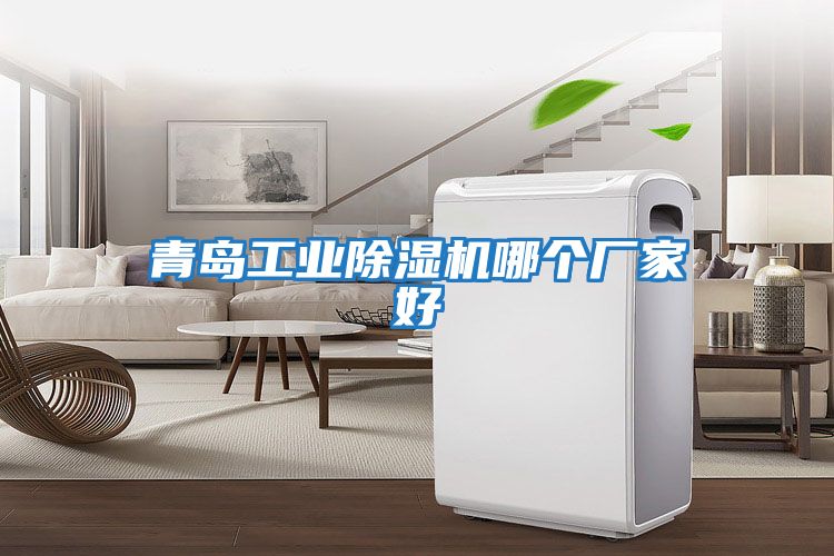 青島工業除濕機哪個廠家好