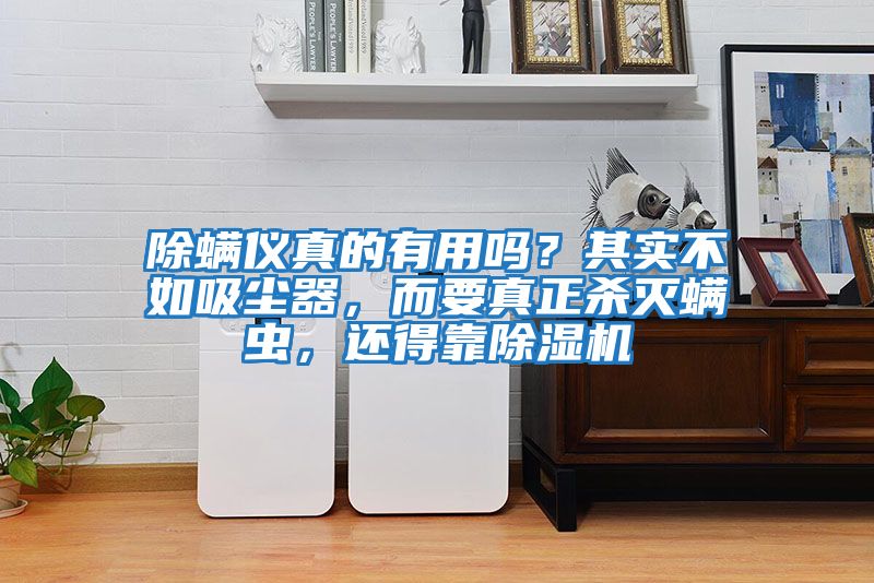 除螨儀真的有用嗎？其實(shí)不如吸塵器，而要真正殺滅螨蟲(chóng)，還得靠除濕機(jī)