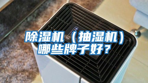 除濕機（抽濕機）哪些牌子好？