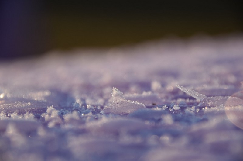 你知道除濕機為什么需要自動化霜嗎？ 冷凍式除濕機化霜功能